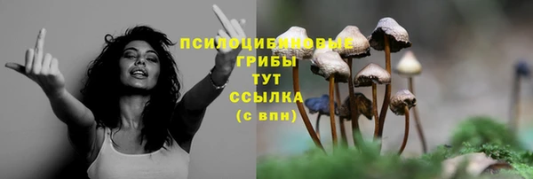 кокс Баксан